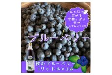 かすみがうら市産　飲むブルーベリー　1L×2本【1481666】