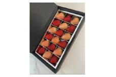 赤いちごと白いちごの宝石箱 18粒入り 県内共通返礼品【1508497】