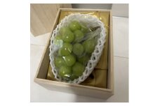 シャインマスカット　桐箱入り　1房　県内共通返礼品【1514564】