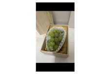 お中元　シャインマスカット　桐箱入り1房　県内共通返礼品【1516618】