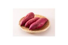 べにはるか　5kg 県内共通返礼品【1518366】