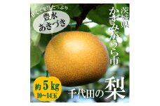 ＜2025年出荷受付＞茨城県　千代田の梨(豊水・秋月いずれか)約5kg【1329113】