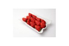 とちおとめ 大粒 250g(8～12粒)×4pc 県内共通返礼品【1506815】