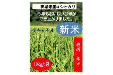 令和6年茨城県産　精米コシヒカリ　10kg【1548869】