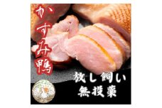 かすみ鴨　ムネ肉のスモーク　1枚(200g)【1563883】