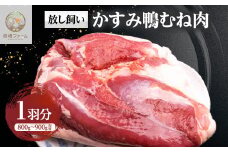 かすみ鴨むね肉　1羽分(800g～900g程度)_ 鴨 肉 鴨肉 かも肉 カモ肉 かも カモ にく ニク お肉 モモ もも肉 モモ肉 国産 真空パック ロースト ロース煮 鍋 鴨鍋 しゃぶしゃぶ 味噌漬け 合鴨 茨城県 冷凍 送料無料 【1563885】