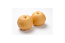 梨　新高　約5kg 5～9個　茨城県内共通返礼品:石岡市【1561506】
