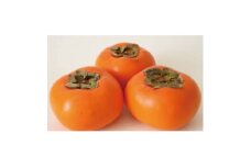 旬の大玉柿　10～14個　約3kg 茨城県内共通返礼品:石岡市【1561532】