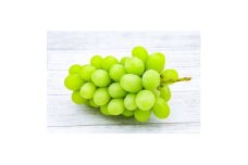大房シャインマスカット　2房(1400g以上)　茨城県内共通返礼品:かすみがうら市【1562778】