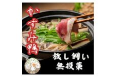 鴨鍋の素2人前  鴨スープ500gと鴨モモ肉1羽分(400～450g)のセット_ 鴨 鴨鍋 スープ 素 鴨スープ 肉 鴨肉 かも肉 カモ肉 かも カモ モモ もも肉 モモ肉 にく お肉 国産 鴨鍋セット セット 簡単 鴨出汁 茨城県 送料無料 【1577229】