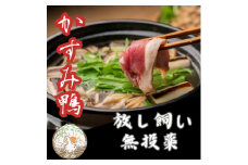 鴨鍋の素4人前  鴨スープ1kgと鴨モモ肉2羽分(計800～900g)のセット_ 鴨 鴨鍋 スープ 素 鴨スープ 肉 鴨肉 かも肉 カモ肉 かも カモ モモ もも肉 モモ肉 にく お肉 国産 鴨鍋セット セット 簡単 鴨出汁 茨城県 送料無料 【1577230】