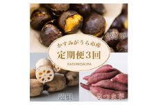 ＜発送月固定定期便＞茨城県 特産品3種全3回【4062740】