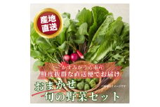 かすみがうら市産 旬の野菜おまかせセット 7～9種(2～3名様分)【1604066】