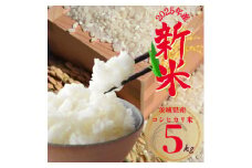 2025年新米 茨城県産 コシヒカリ米(精米)5kg【1620168】
