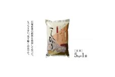 令和6年産かすみがうら市産コシヒカリ 玄米 5kg【1630960】