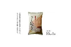 令和6年産かすみがうら市産コシヒカリ 玄米 10kg【1630961】