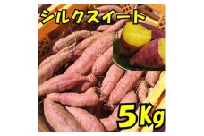 さつまいも(シルクスイート5kg)【1597491】