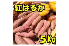 さつまいも(紅はるか)5kg【1597505】