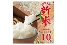 2025年新米 茨城県産コシヒカリ 精米 計10kg【1638273】