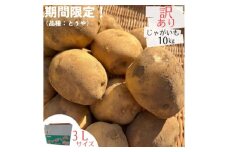 産地直送!訳ありお芋屋さんのBigじゃがいも(品種:とうや)10kg【1645283】