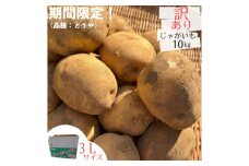 産地直送!訳ありお芋屋さんのBigじゃがいも(品種:とうや)10kg【1645283】