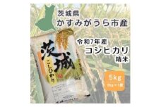 令和7年産　茨城県かすみがうら市産　精米　コシヒカリ　5kg【1662542】