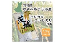 令和7年産　茨城県かすみがうら市産　精米　コシヒカリ　10kg【1662549】