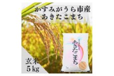 令和7年産かすみがうら市産あきたこまち  玄米  5kg【1666721】