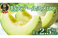 【2025年8月下旬発送開始】 季節 限定 ！ 甘さ満点 特大 アールスメロン 1個 箱 果物 フルーツ 農家直送 産直 青肉メロン 特産品 マスクメロン メロン くだもの 茨城 [BC005sa]