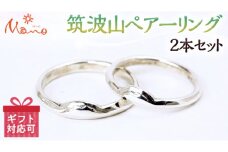 筑波山ペアリング2本セット ペアリング pt950 プラチナ ギフト 記念 結婚指輪 贈り物 贈答用 リング アクセサリー ジュエリー ジュエリーマーノ 桜川市 [AH065sa]