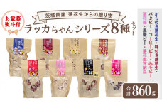 ＜ お歳暮熨斗付 ＞落花生 からの 贈り物　ラッカちゃん シリーズ 8種セット 国産 国産落花生 落花生 ピーナッツ 茨城県 生産者直送  豆菓子  おやつ 御歳暮 お歳暮[BB004sa]