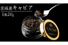 つくばスタージョン キャビア 20g×1  高級食材 記念日 誕生日 世界三大珍味 国産キャビア 茨城県産 茨城[AI005sa]