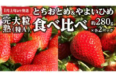 【 2025年1月上旬発送開始 】完熟！ やよいひめ 約280g×2P・とちおとめ 約280g×2P 食べ比べ 国産 いちご イチゴ 苺 [BC008sa]