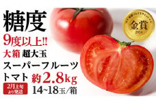 《 2026年収穫分 先行予約 》 糖度9度以上 超大玉 スーパーフルーツトマト 大箱 約2.8kg × 1箱 (14～18玉/1箱) フルーツトマト ブランドトマト 野菜 ギフト 贈答 [BC011sa]