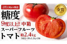 《 2026年収穫分 先行予約 》 糖度9度以上 スーパーフルーツトマト 中箱 約1.2kg × 2箱  (12～18玉/1箱) フルーツトマト ブランドトマト 野菜 ギフト 贈答 [BC014sa]
