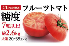 糖度7度以上！フルーツトマト 大箱 約2.6kg × 1箱 （20～35玉/1箱） 2025年2月から発送開始 トマト とまと 野菜 [BC018sa]