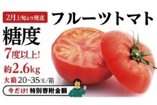 【9/30まで早期予約 特別寄附金額】《 2026年収穫分 先行予約 》 糖度7度以上 フルーツトマト 大箱 約2.6kg × 1箱 (20～35玉/1箱) ブランドトマト 野菜 ギフト 贈答 [BC018sa]