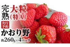 【 2026年1月上旬発送開始 】 完熟 かおり野 260g×4P 国産 いちご イチゴ 苺 果物 フルーツ 茨城県産 KEK [BC032sa]