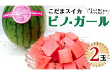 こだまスイカ ピノ・ガール（2玉） 【2025年5月中旬より発送開始】感動必至！ タネが気にならない スイカ 西瓜 小玉スイカ 小玉 果物 くだもの フルーツ 美味しい 茨城 [BC028sa]