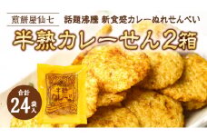 半熟カレーせん 2箱 （12袋入×2） カレーせんべい ぬれせんべい せんべい 煎餅 煎餅屋仙七 [AO005sa]