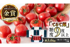 《 テレビで紹介 》【 2026年収穫分 先行予約 】 糖度9度以上 スーパーフルーツトマト てるて姫 中箱 約1.2kg × 3箱 【12〜15玉/1箱】  フルーツトマト ブランドトマト 野菜 ギフト 贈答 青空レストラン アド街ック天国 グッドモーニング 黄金のワンスプーン [BC035sa]