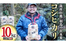 令和6年産 筑波山麓・羽鳥の沢水米 コシヒカリ 10㎏ 米 お米 コメ 精米 白米 桜川市 茨城県 [BN001sa]				