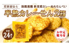 ＜ お中元熨斗付き ＞ 半熟カレーせん 2箱（12袋入×2)  カレーせんべい ぬれせんべい 煎餅 煎餅屋仙七 御中元 夏ギフト ギフト [AO006sa]