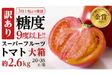 《 2026年収穫分 先行予約 》 訳あり 糖度9度以上 スーパーフルーツトマト 大箱 約2.6kg × 1箱 (20～35玉/1箱) フルーツトマト ブランドトマト 野菜 ギフト 贈答 [BC038sa]