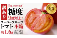 《 2026年収穫分 先行予約 》 訳あり 糖度9度以上 スーパーフルーツトマト 小箱 約800g × 2箱 (7～20玉/1箱) フルーツトマト ブランドトマト 野菜 ギフト 贈答 [BC043sa]