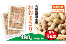 おおまさり 煎り落花生 合計480g (240g×2袋) 【2025年11月上旬から発送開始】 簡易包装 ポスト投函  ご自宅用 ピーナッツ 落花生 おつまみ おやつ お菓子 ナッツ  [BB013sa]