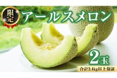 【2025年8月下旬発送開始】 季節 限定 ！甘さ満点 アールスメロン 2玉 入箱 果物 フルーツ 農家直送 産直 青肉メロン 特産品 マスクメロン メロン くだもの 茨城 [BC045sa]