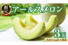 【2025年8月下旬発送開始】 季節 限定 ！ 甘さ満点 アールスメロン 3玉 入箱 果物 フルーツ 農家直送 産直 青肉メロン 特産品 マスクメロン メロン くだもの 茨城 [BC044sa]
