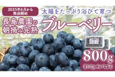 ブルーベリー 800g ( 400g × 2パック ) 【2025年6月から発送開始】 国産 茨城県産 ベリー フルーツ 果物 くだもの 自家製栽培[AK003sa]