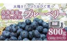 ブルーベリー 800g ( 400g × 2パック ) 【2026年6月から発送開始】 国産 茨城県産 ベリー フルーツ 果物 くだもの 自家製栽培[AK003sa]